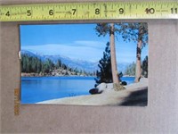 Postcard Picture Hume Lake Kings Canyon 1950s