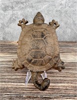 Cast Iron Turtle Coat Hook