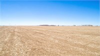 Tract 1-80.45 Acres in O'Brien County, IA