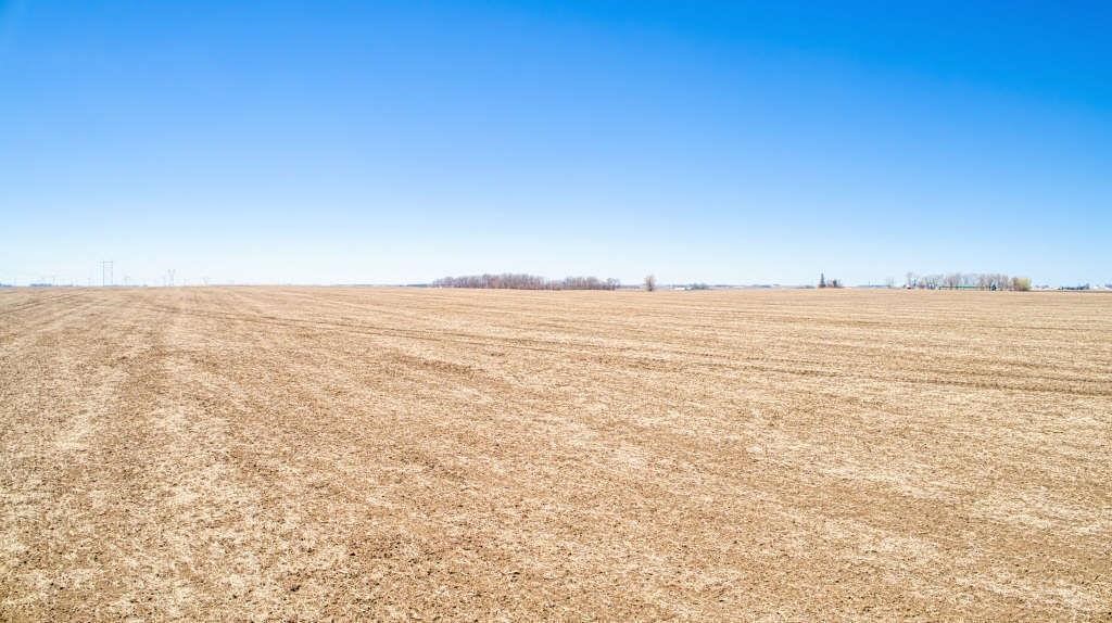 160.56 Acres in O'Brien County, Iowa