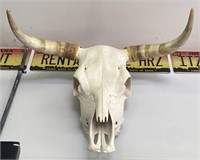 Taxidermy Longhorn Steer Skull, 27in wide x 18in