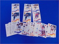 Lot Of Hockey Cards