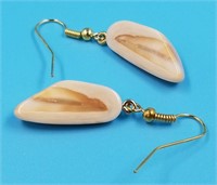 Fossilized walrus earrings    (N 33)