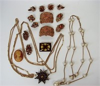 Large Lot Of Vintage Costume Jewelry In Brown