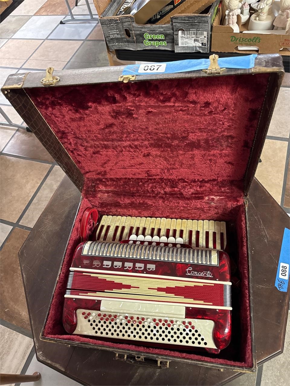 Concerto Accordion