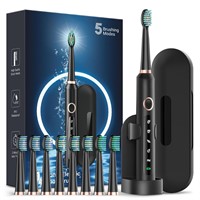 Sonic Electric Toothbrush for Adults -Rechargeable
