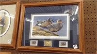 Framed picture of Bluewing teal ducks