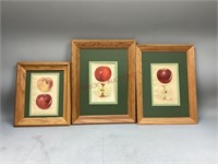 Rabun Apple & More Prints