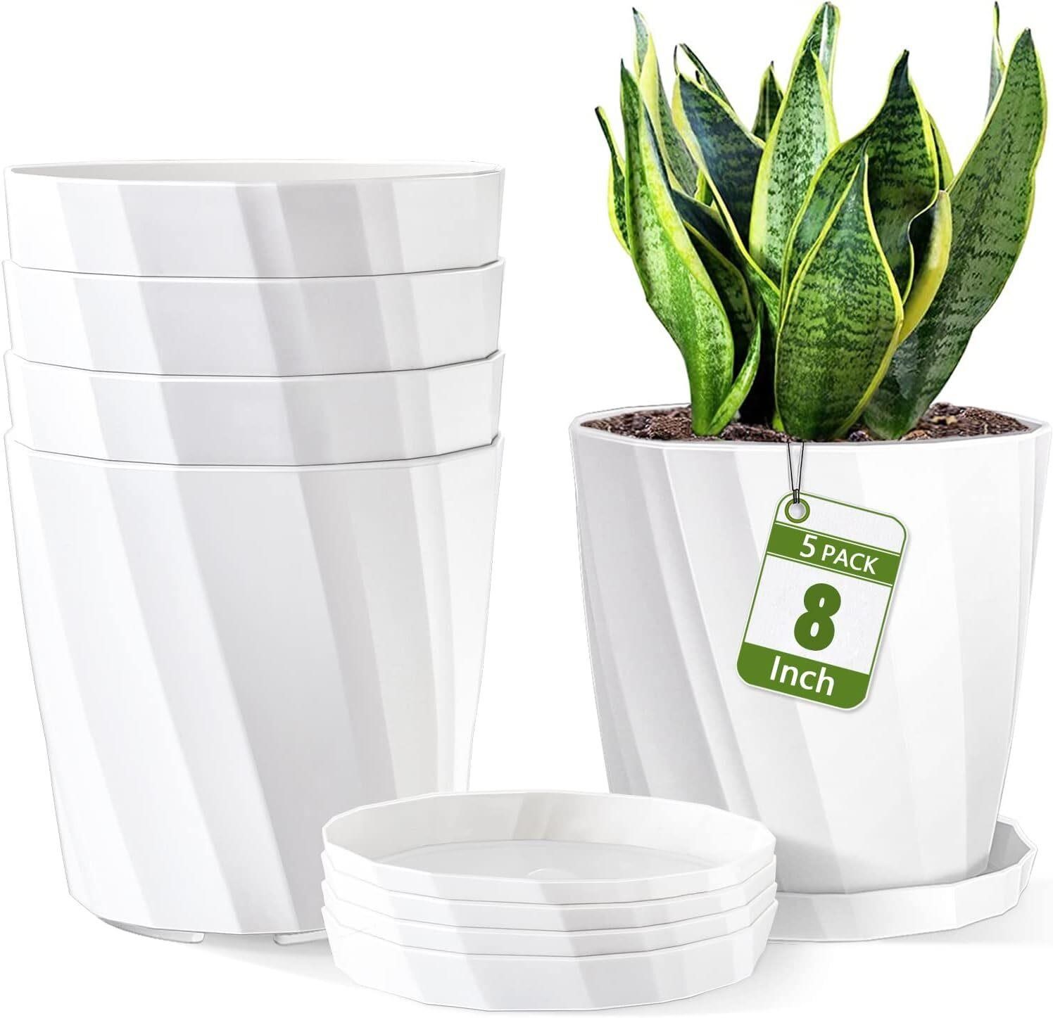 8 Inch Pots with Drainage - Set of 5