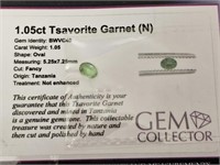 1.05ct Tsavorite Garnet (N)