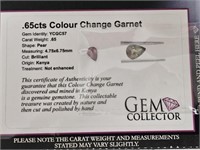 .65cts Colour Change Garnet