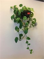 Wall Plant Holder
