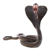 Cold painted bronze spectacled cobra