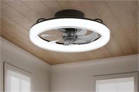 20'' Ceiling Fans with Light