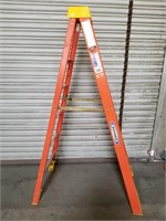 Werner 6' A-frame ladder
