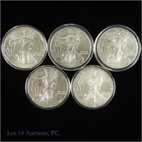 2010-2014 American Silver Eagle $1 (5)