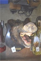 Wild Boar head