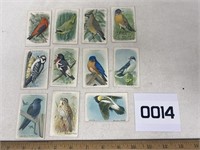 Bird Trade Cards