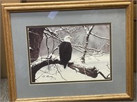 Eagle photo, signed by WP Conway photographer