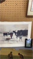 Cow pictures