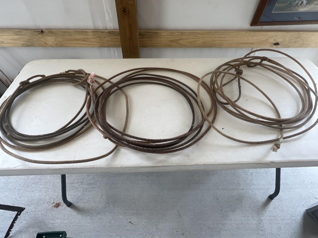 3 used lariat ropes