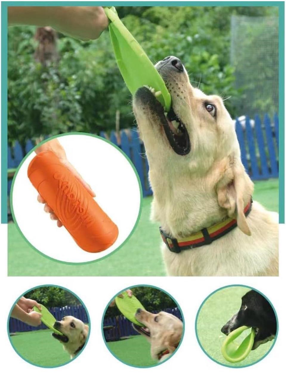Silicone Dog Frisbee