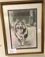 Collie Framed Drawing Print