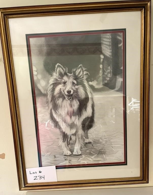 Collie Framed Drawing Print