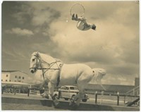 8x10 Man flipping off horses back with hoop