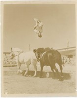 8x10 Man flipping  from one horse back to other