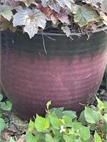 Plastic Flower Pot.   18” diameter x 24” tall