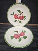 2 Blue Ridge Apple Blossom plates, 9 1/4"