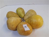 Rock Pears