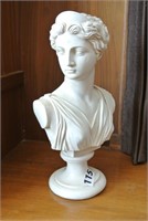 Classical Bust