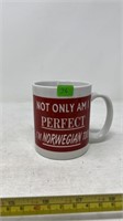 "Not Only Am I Perfect, I’m Norwegian Too!" Mug