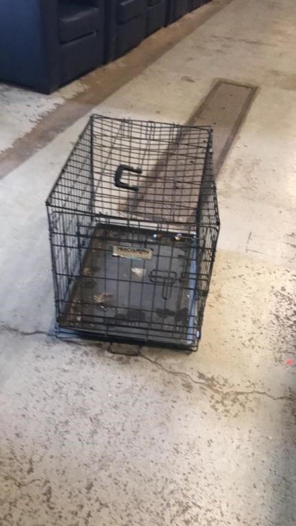 3 Ring Small Animal and Estate Auction - June 22nd