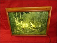Lighted whitetail deer picture. Works.