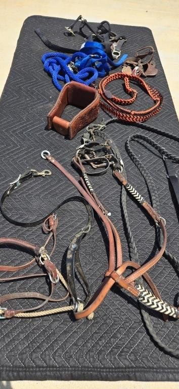 Horse Tack