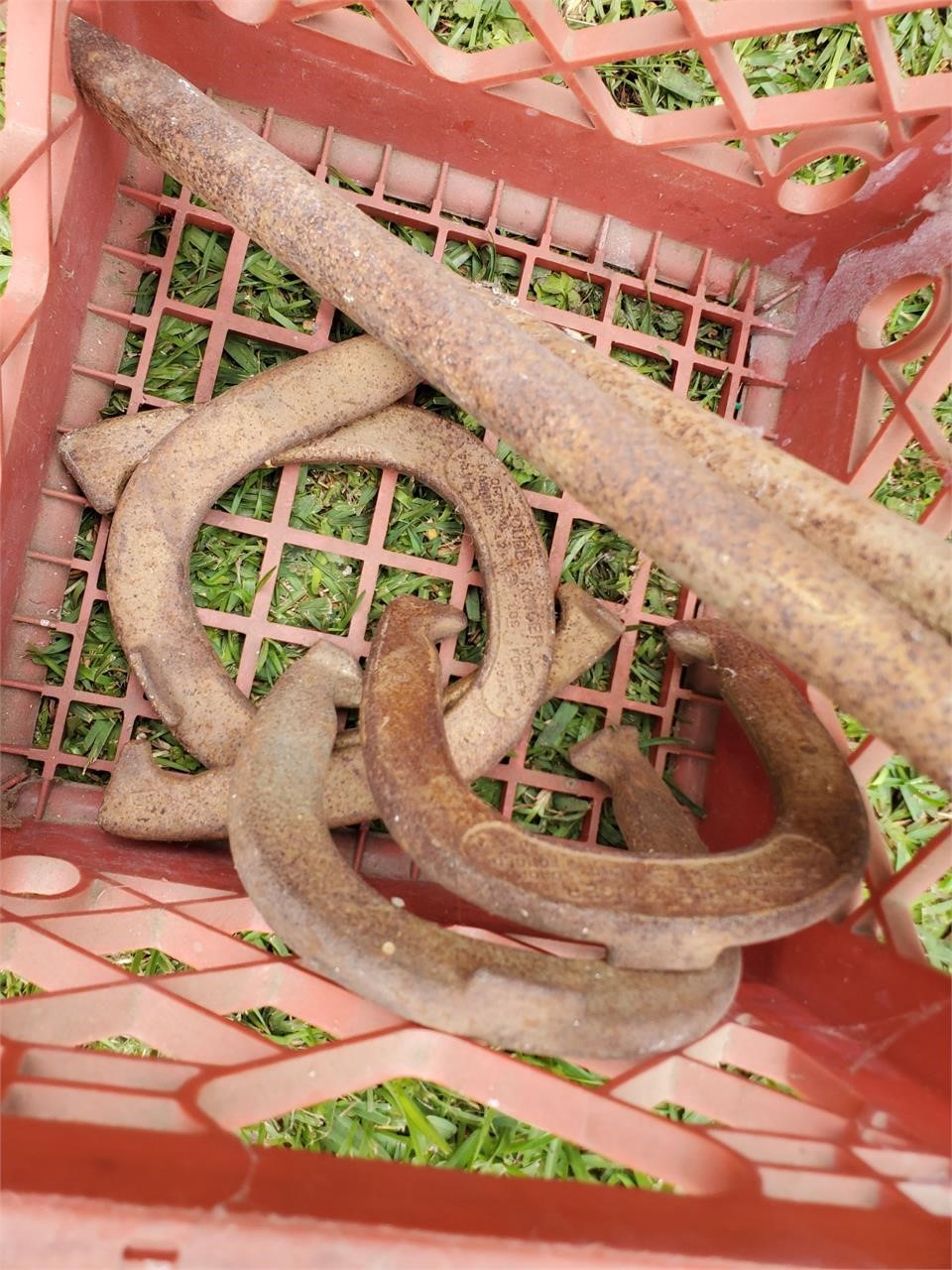 Horseshoes in crate