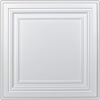 NEW $93 12PK PVC Ceiling Tiles 2'x2'