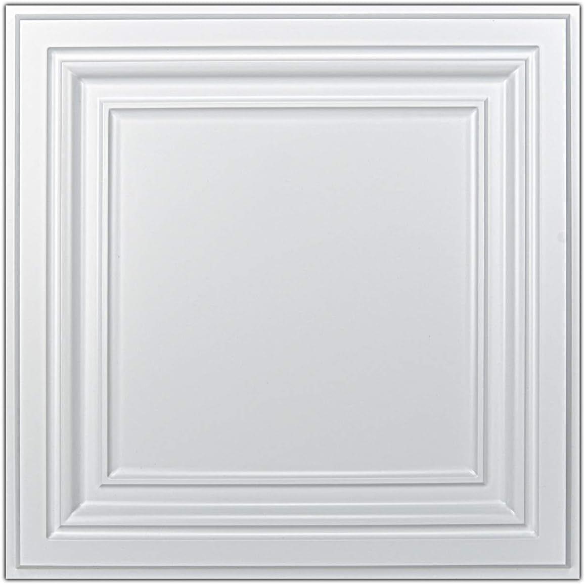NEW $93 12PK PVC Ceiling Tiles 2'x2'