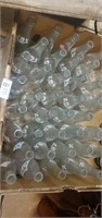 Lot of sanders bottles