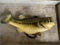 Taxidermy Wood Lake Bass, 24"w