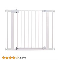 Metal Gate with Magnetic Latch