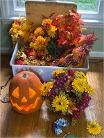 Halloween & fall decor