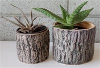 Two Live Plants in faux stump planter pots