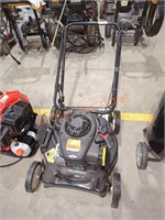 Murray 20" Gas Push Lawn Mower