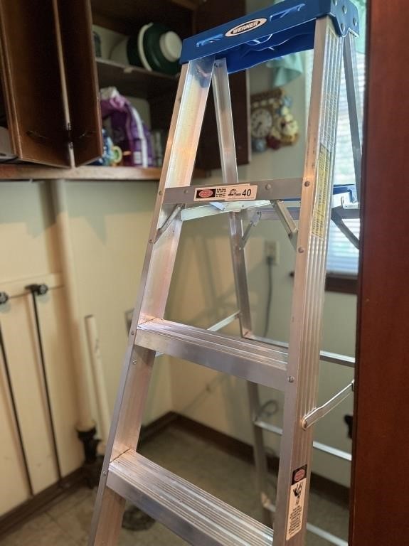 Werner Ladder and contents of cabinets in laundry