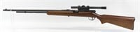 Savage Model 6AB .22 Semi-Auto Rifle. 
Rifle is