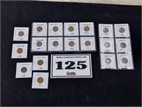 Collection of 19 Wheat Pennies